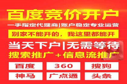 案例分析：SEM广告助力电商行业突破